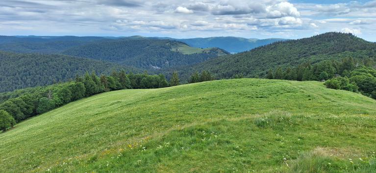 Séjour massif des Vosges juin 2026