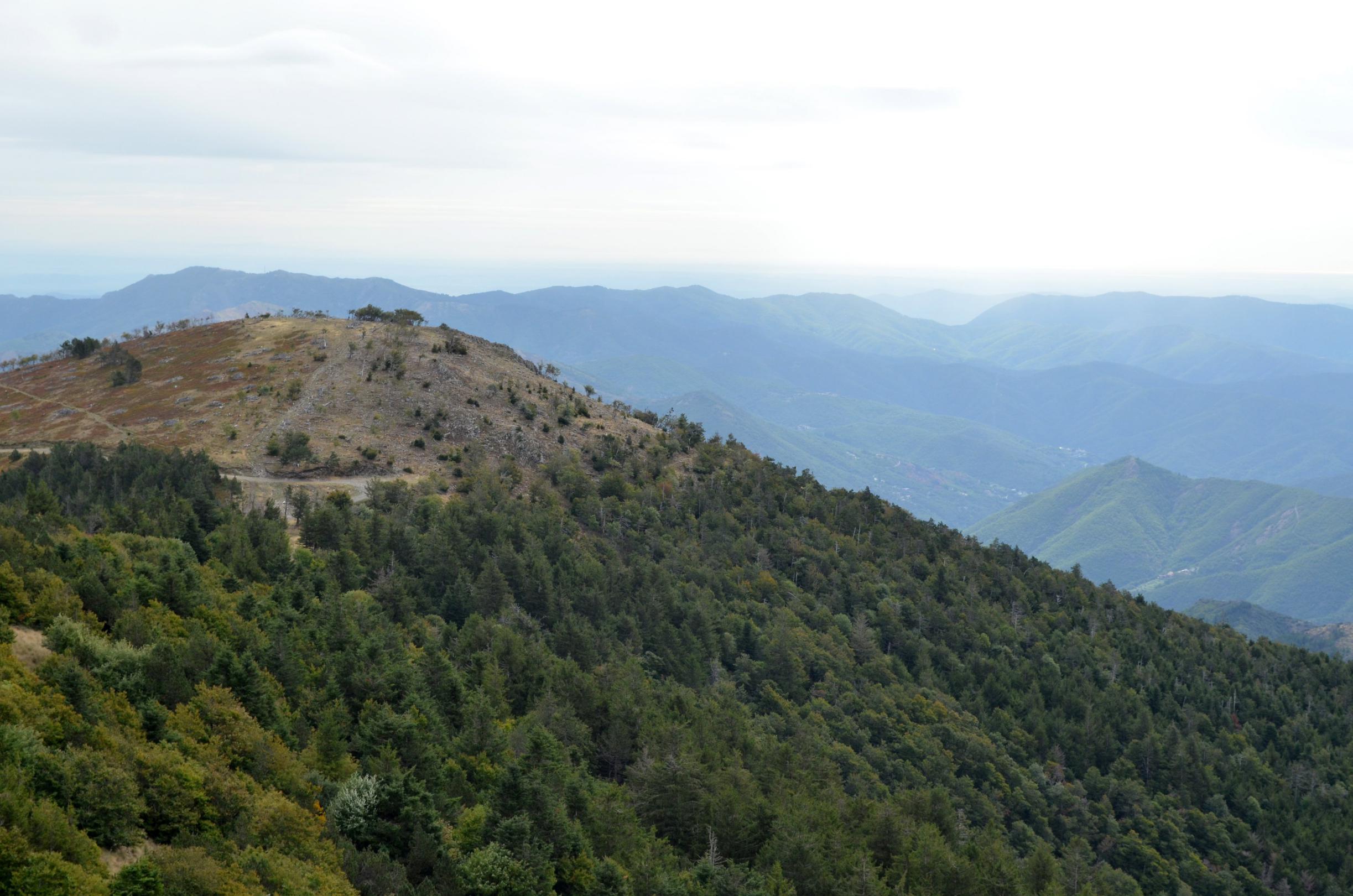 le mont Aigoual