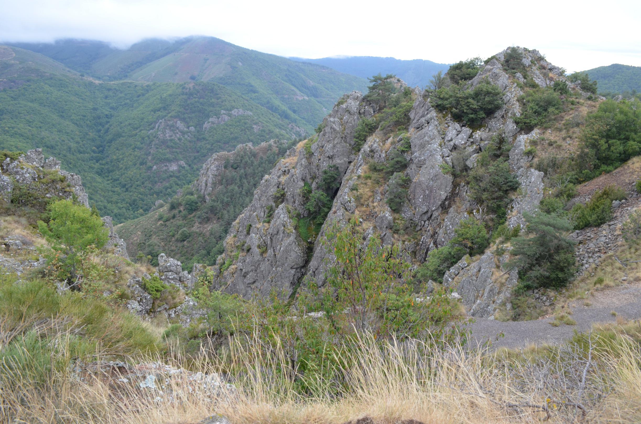 le mont Aigoual