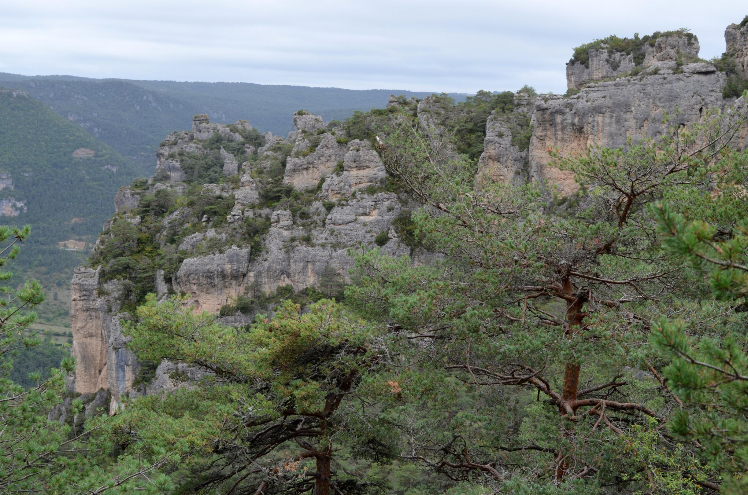 les corniches de la jonte