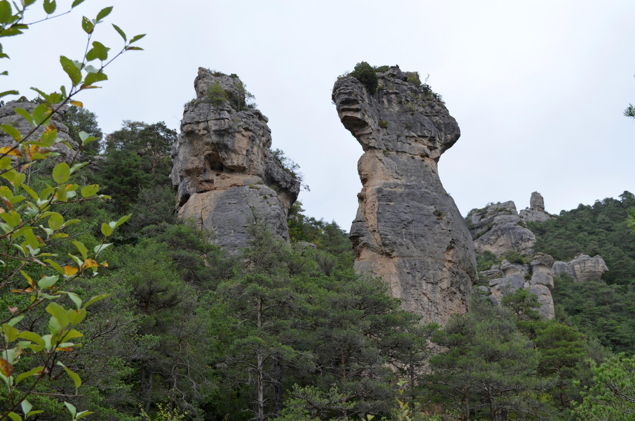 les corniches de la jonte