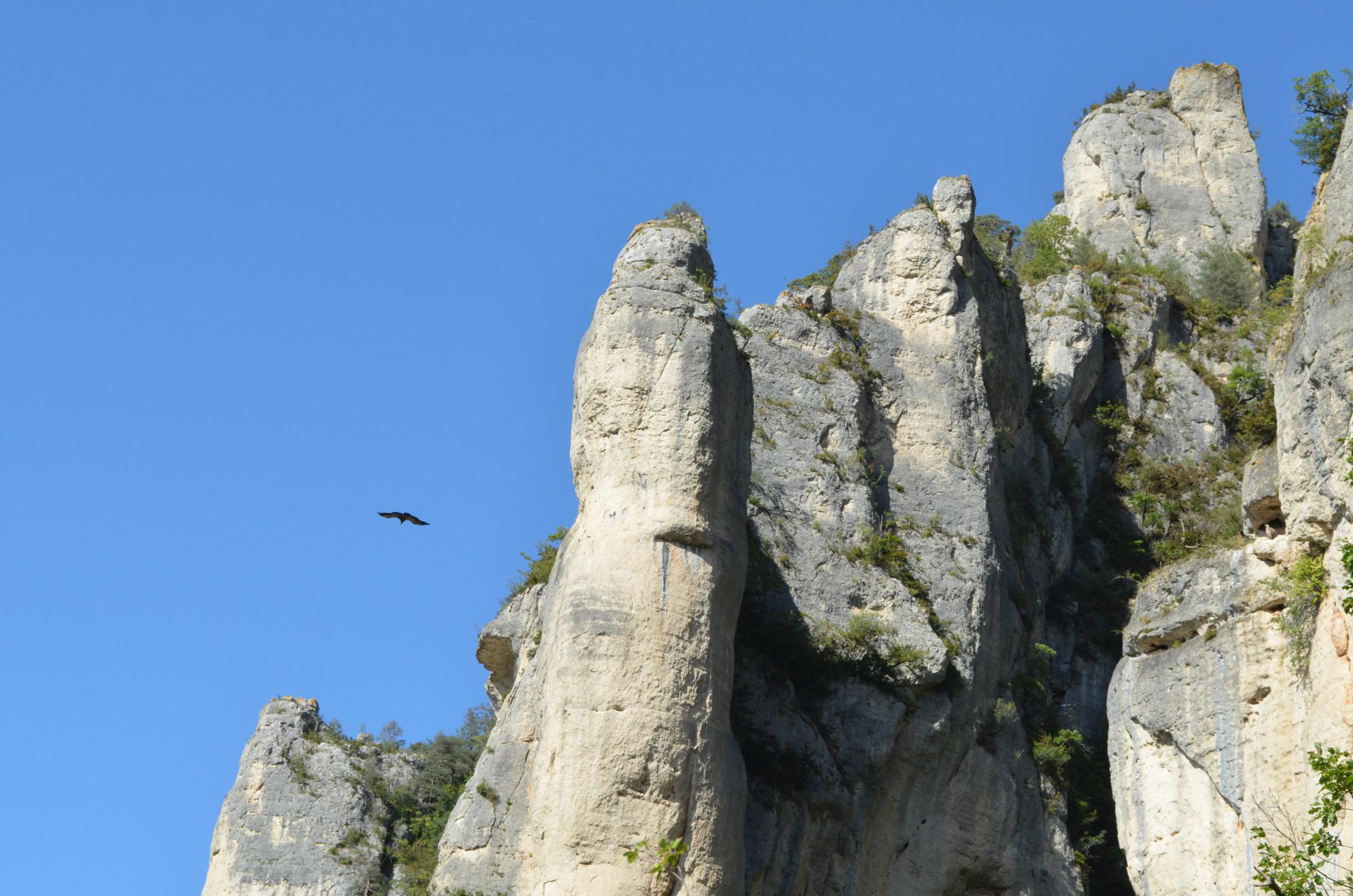 les corniches de la jonte