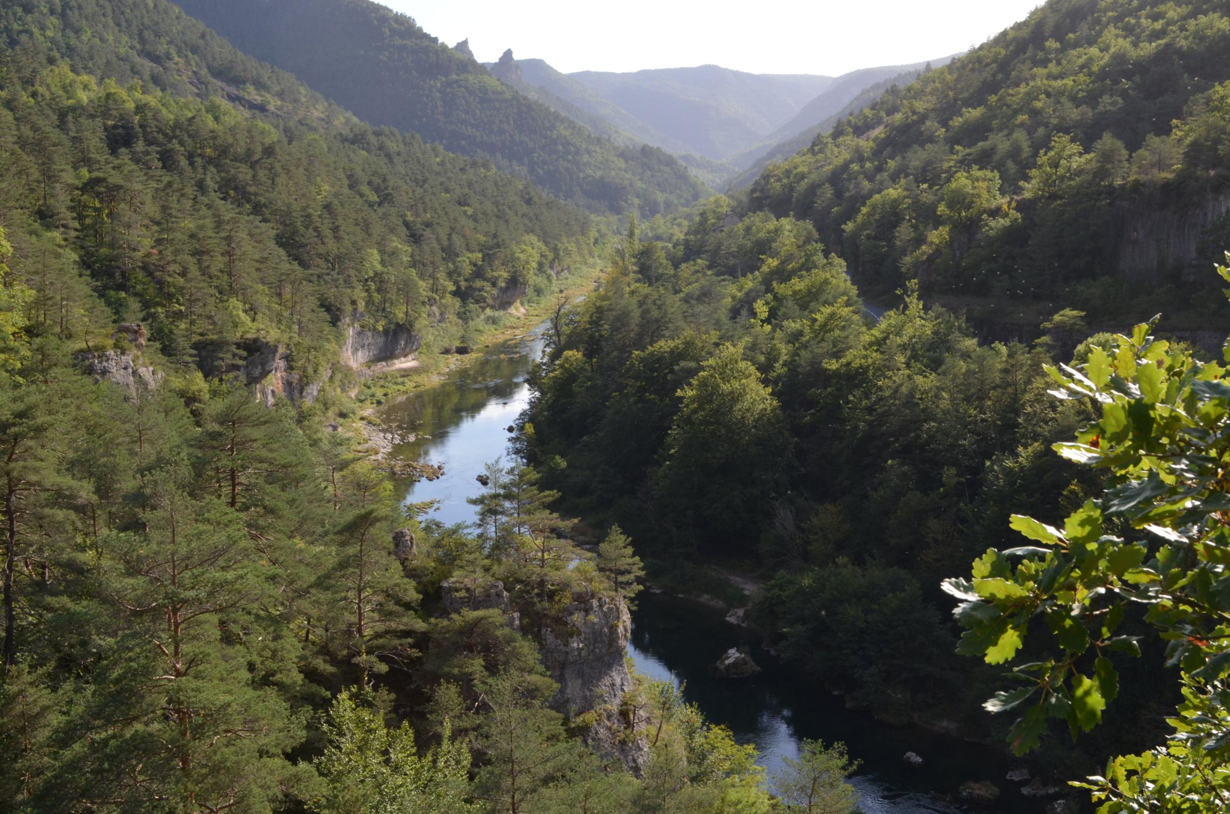 les corniches de la jonte