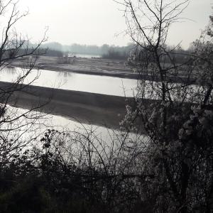 sur les bords de la Loire à Pouilly